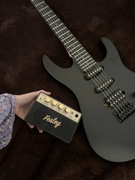 Комбоусилитель для электрогитары Fesley FGA10, Bluetooth,10 ватт