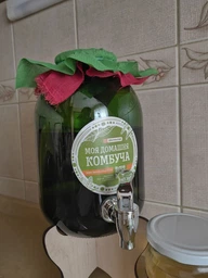 Набір для виготовлення Комбучі максимальний KomBUCHA BOX PRO фото від покупців 3