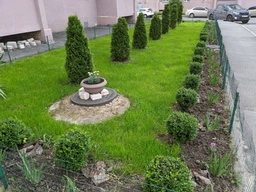 Семена Green Home Теневая газонная трава 1 кг фото от покупателей 1