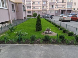 Семена Green Home Теневая газонная трава 1 кг