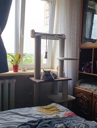 Котяча когтеточка дряпалка велика лежанка Річард 135х60х40см коричнево білий фото від покупців 2