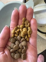 Сухой корм для стерилизованных кошек Monge Cat Adult Sterilised Chicken 400 г (Курица)