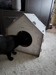 Домик для собак и кошек Lucky Pet ЭКО Домик "Уикенд" 45x45x45 см Белый (4820224213231) фото от покупателей 18