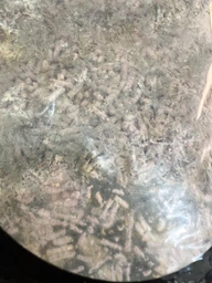 Соєвий наповнювач Pet Cat Tofu Зелений чай 2.5 кг/6 л фото від покупців 3