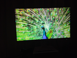 Монітор 24" MSI PRO MP243XW -- IPS FHD / 100Hz / 4ms GtG / 8-Bit / sRGB 119% / Adaptive-Sync / AMD FreeSync / Speakers 3W