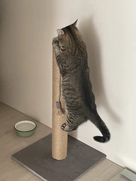 Высокая кошачья когтеточка столбик для кошек котика 82см серая фото от покупателей 15