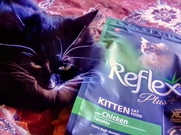 Сухой корм Reflex Plus полноценный и сбалансированный для котят с курицей 1.5 кг (8698995003520) фото от покупателей 1