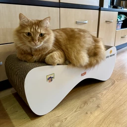 Когтеточка-лежанка для кошек Say Meow Cloud гофрокартон, 61х21х24 см (8040190102001) фото от покупателей 13