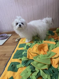 Коврик для нюханья для собак Derby Pet Shuffle Mat orange