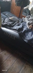 Односпальная надувная кровать Intex 64122 (99 x 191 x 42 см) Pillow Rest + Встроенный электронасос 220В фото от покупателей 4