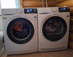 Стиральная машина Electrolux EW6F3414UU + Сушильный автомат Electrolux EW7D394UU + Соединительная планка Electrolux E1WYHSK1 (комплект) фото от покупателей 1