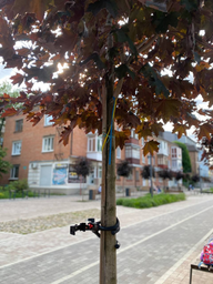 Трипод для смартфону RZTK Tripod Spyder