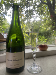 Вино ігристе Heretat el Padruell Cava Brut Nature біле брют-натюр 0.75 л 11.5% (8411277205814)