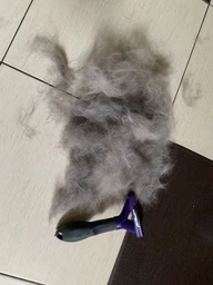 Фурминатор для котов с короткой шерстью FURminator размер M/L (691661) (4048422141259) фото от покупателей 11