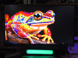 Монітор 27" Philips 27M2N5500 фото від покупців 2