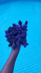 Набор химии для для старта бассейна AquaDoctor Super Kit 5 в 1 до 30 м³ (хлор, альгицид, коагулянт, pH минус, таблетки 3в1) фото от покупателей 5
