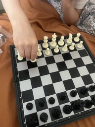 Шахматы шашки нарды пластиковые магнитные игральные набор 3 в 1 шахматный для детей новичков взрослых начинающих комплект шахмат шашек на подарок дорожные походные настольные на магнитной доске шахматная доска 25см x 25см АН38810 + игральные кубики фото от покупателей 7