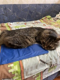 Охлаждающий коврик для собак Trixie синий (110 х 70 см) (TX-28687) фото от покупателей 2
