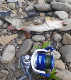 Воблер Savage Gear 3D Goby Crank Bait 40F 40mm 3.5g Коричневий (1013-1854.16.81)