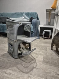 Сумка переноска для кота кошки собаки домашних животных двухместная сумка с окошком и выдвижной ручкой на колесиках колесах кошачьи сумки для переноски котов кошек маленьких собак серая (002259) фото от покупателей 5