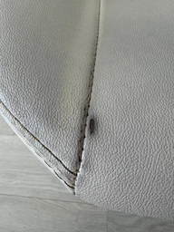 Игровое кресло Anda Seat Kaiser 3 Green Size XL (AD12YDC-XL-01-E-PV/C) фото от покупателей 7