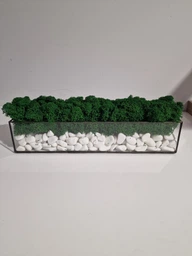 Моссариум со стабилизированым мхом MiNature Moss натурально зелёный 30 см фото от покупателей 1
