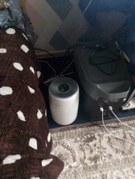Міні очищувач повітря LEVOIT Core mini з HEPA-фільтром для робочого столу та невеликих приміщень фото от покупателей 3