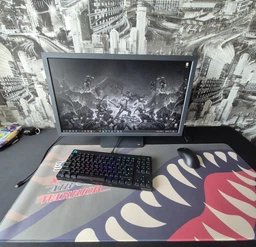Монитор 24.1" BenQ Zowie XL2566X+ (9H.LMRLB.QBE)