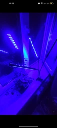 Фітолампа для рослин потрійна 15Вт, настільна світлодіодна LED лампа на 3 гілки для підсвітки розсади, кімнатних і тепличних рослин з таймером, кліпсою-затискачем і USB живленням, синє, червоне, фіолетове світло Чорна F-33 фото від покупців 1