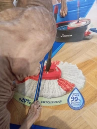Набор для уборки Vileda 2в1: совок с короткой ручкой + щетка Vileda Dustpan (4023103172326) фото от покупателей 1