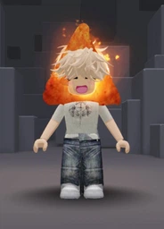 Roblox: Flaming Hot Chip Head фото від покупців 1