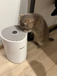 Очиститель воздуха PHILIPS AC0650/10 фото от покупателей 2