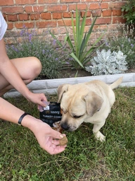 Лакомства для собак Джерки Savory Puppy Coins With Turkey монетки для щенков с индейкой 100 г (4820261921090) фото от покупателей 1