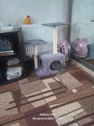 Когтеточка для кошек Purlov Кошачье дерево 4 этажа с домиком 71 x 44 x 34 см (21712) фото от покупателей 1