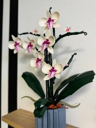 Конструктор Орхидея 608 деталей Ботаническая коллекция Набор Botanical Orchid Оригинальный подарок девушке и маме конструктор цветы фото от покупателей 14