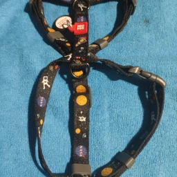 Шлея для собак Collar анатомическая H-образная WAUDOG Nylon с QR-паспортом, пластиковый фастекс, S, Ш 15 мм, A 30-40, B 30-50 рисунок "NASA" (5609) фото от покупателей 2