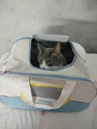 Сумка переноска для кота кошки котенка собаки до 8 кг с сетчатым окошком голубая 46х30х30 см (002298) фото от покупателей 18