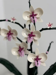 Конструктор Орхидея 608 деталей Ботаническая коллекция Набор Botanical Orchid Оригинальный подарок девушке и маме конструктор цветы фото от покупателей 12