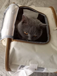 Сумка переноска для кота кошки котенка собаки до 8 кг с сетчатым окошком голубая 46х30х30 см (002298) фото от покупателей 7
