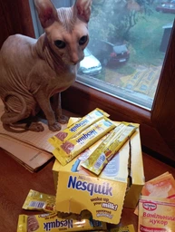 Какао-напиток Nesquik шоколадно-молочный коктель Сток 28 х 13,5г (7613036624008)