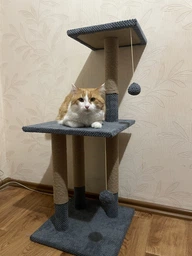 Дряпка для кота Мур-Мяу Троя New 40х40х96 см для кішок у джутовій мотузці Сірий МТ