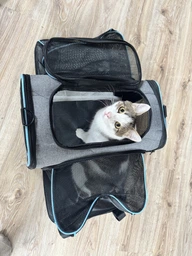 Cумка переноска для кота кошки маленькой собаки домашних животных до 8 кг с сетчатым расширением серая (002314) фото от покупателей 2