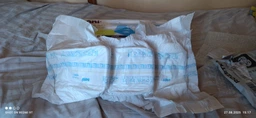 Подгузники для взрослых Seni Super Large 30 шт (5900516803766) фото от покупателей 11