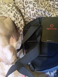 Рюкзак на одне плече Optima 10.5" Сірий 4 л (O97451) фото від покупців 1