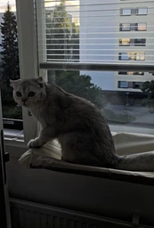 Лежанка для кошек оконный гамак с присосками на окно Sunny Seat Mounted Cat Bed до 22 кг Лёгкая Бежевая (3026)