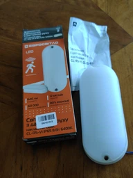 Світильник з датчиком руху LED ЖКХ Євросвітло овал CL-RS-V1 IP65 8 Вт 6400К (000059214)