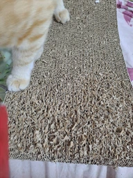 Когтеточка-лежанка для кошек Say Meow Cloud гофрокартон, 61х21х24 см (8040190102001) фото от покупателей 11