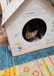 Домик для собак и кошек Lucky Pet ЭКО Домик "Уикенд" 45x45x45 см Белый (4820224213231) фото от покупателей 17