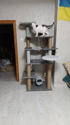 Высокий игровой кошачий комплекс когтеточка с большим домиком гамаком коту кошке 195х80х60см серый фото от покупателей 9