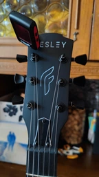 Электрогитара Fesley FLP350 BK (комплект)